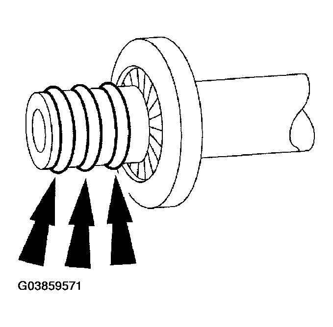 G03859571
