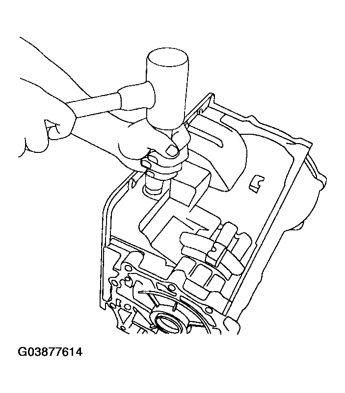 G03877614