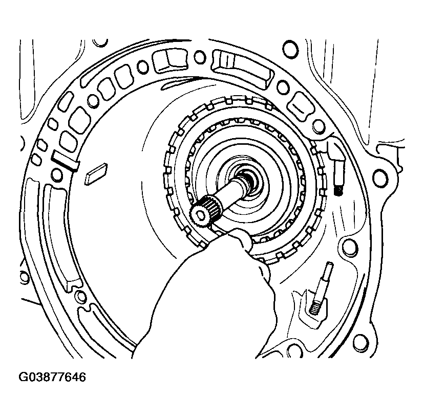 G03877646