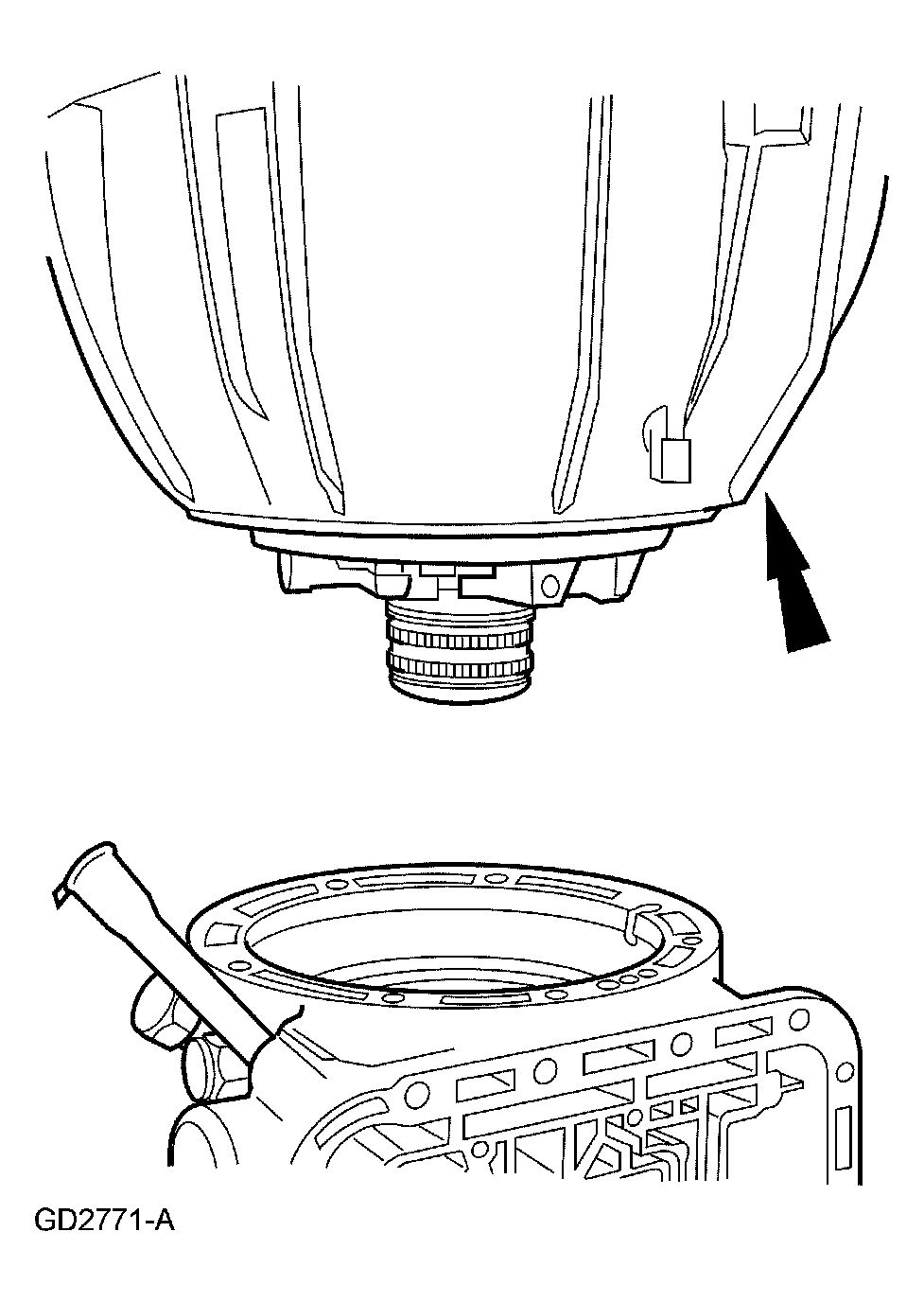 G03914923