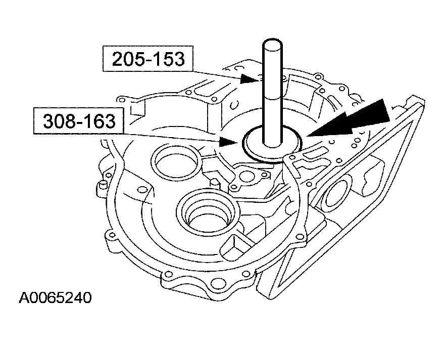 G03951561
