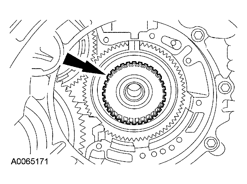 G03951655