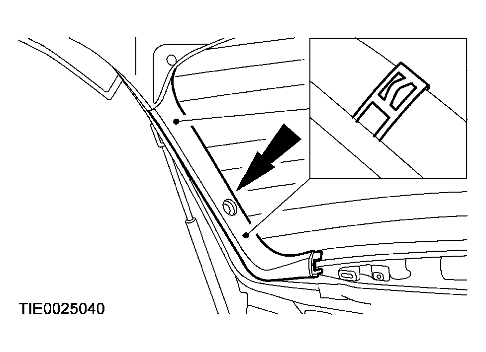 G03952936