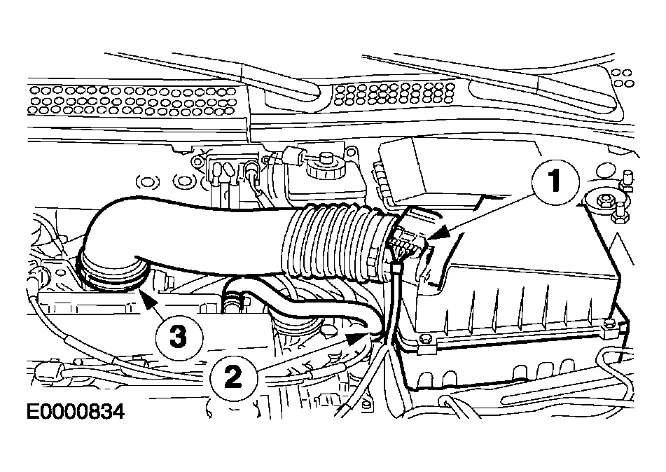 G04033888