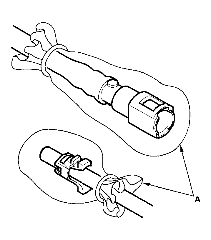 G04245481