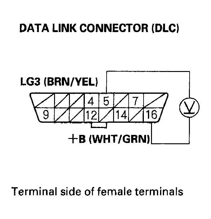 G04546035