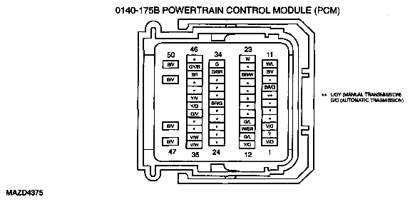 G04929077