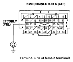 G05446979
