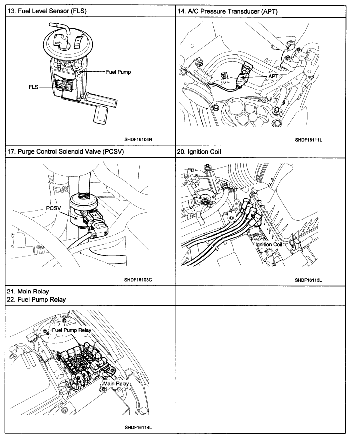 G06136031