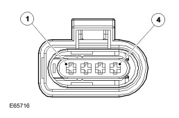 G06387811