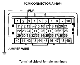G06424131
