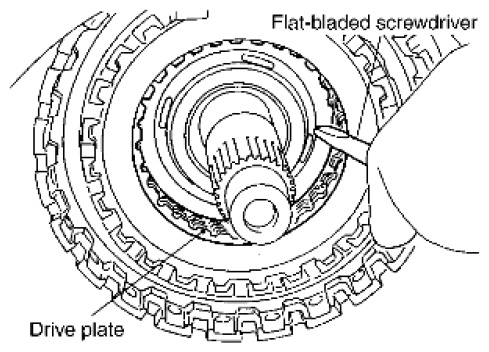 G06443106