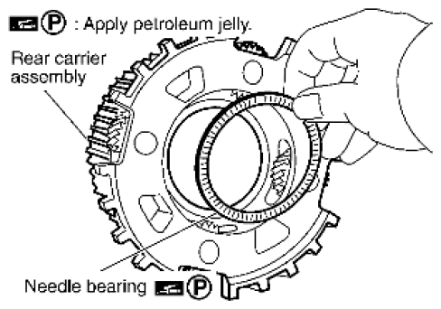 G06443109