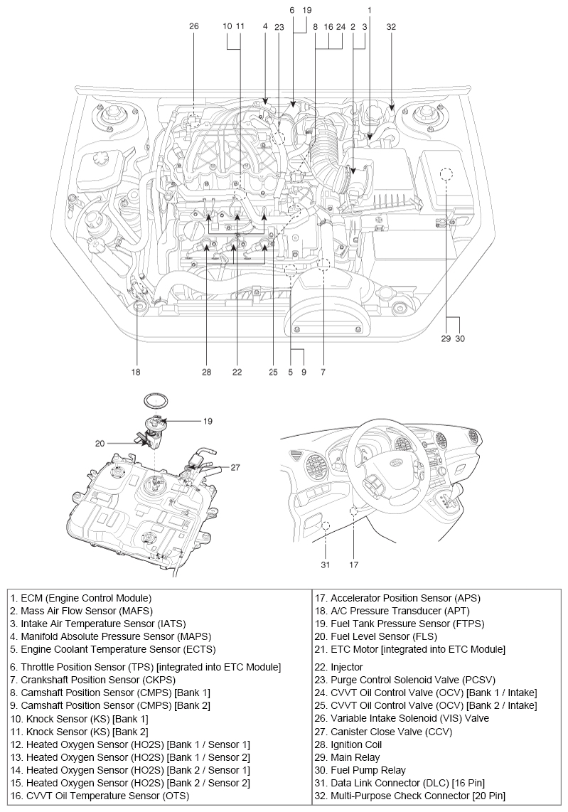 G06486555