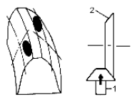 G06528634