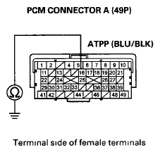 G06628981