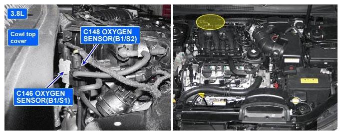 G06800084