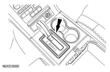 G07456295
