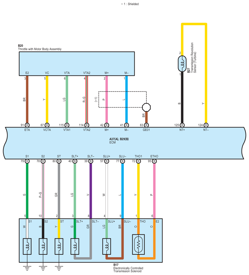 G07571432