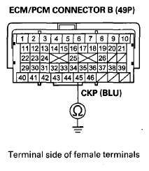 G08069405