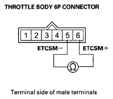 G08069629