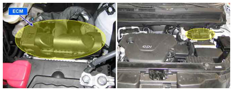 G08333354