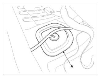 G09743066