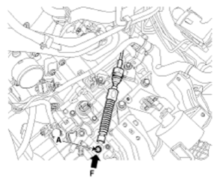 G09773286