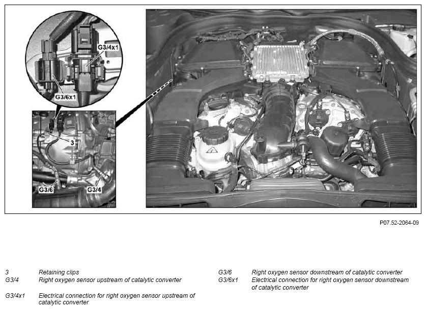 G09981636