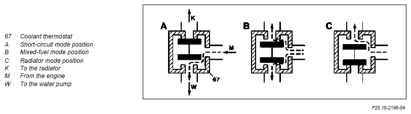 G10242106