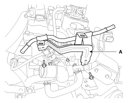 G10362019