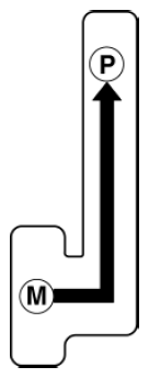 G10961181
