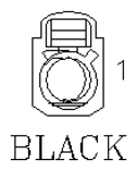 G11051013