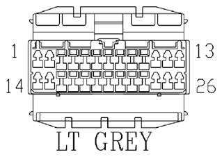 G11061384