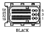 G11061856