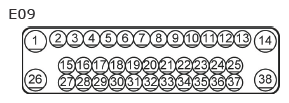 G11135256