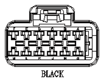 G11144067