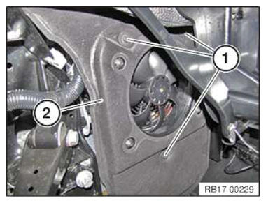 G11145054
