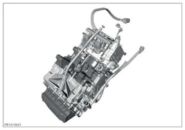 G11149569