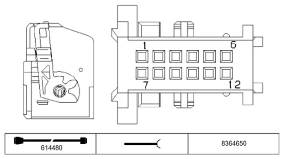 G11234428
