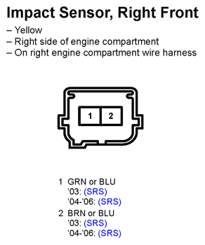G11248019