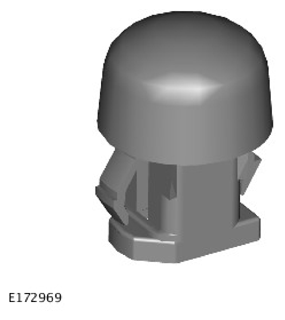 G11304178