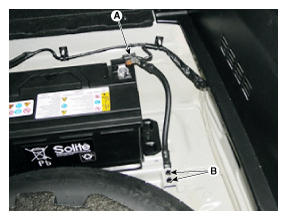 G11335325