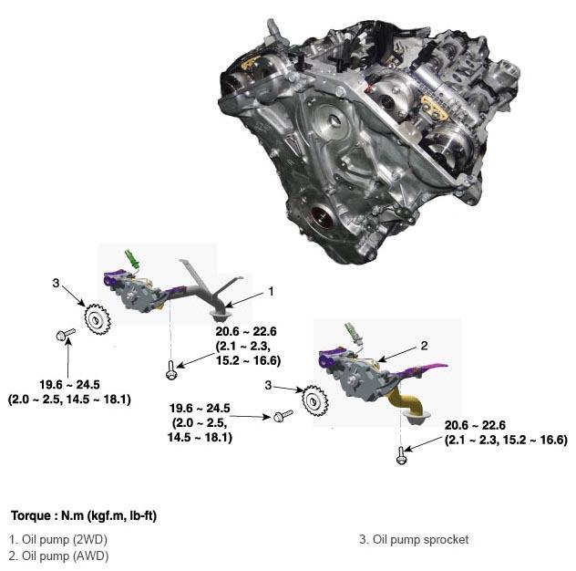 G11354695