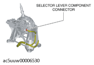 G11429225