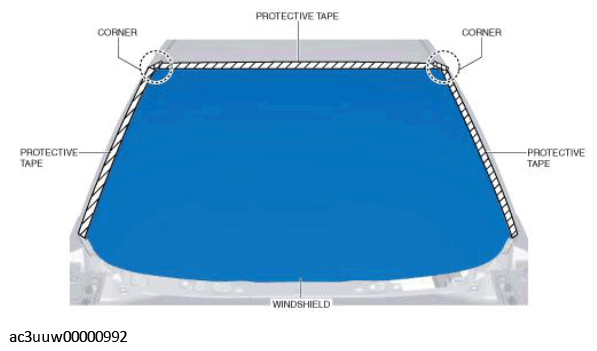 G11434361
