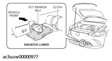 G11435606