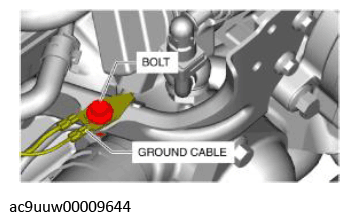 G11436393