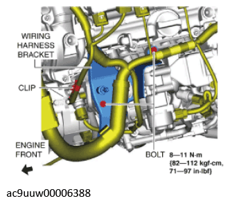 G11436606