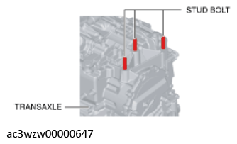 G11436662